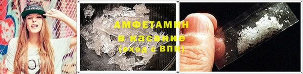 гидра Абаза