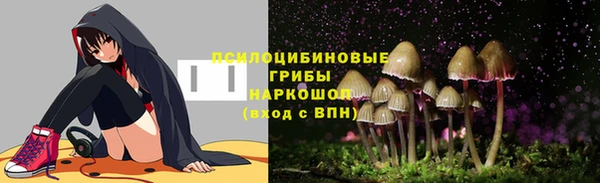 гидра Абаза