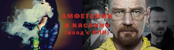 гидра Абаза