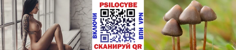 Псилоцибиновые грибы Psilocybe  Барыш 
